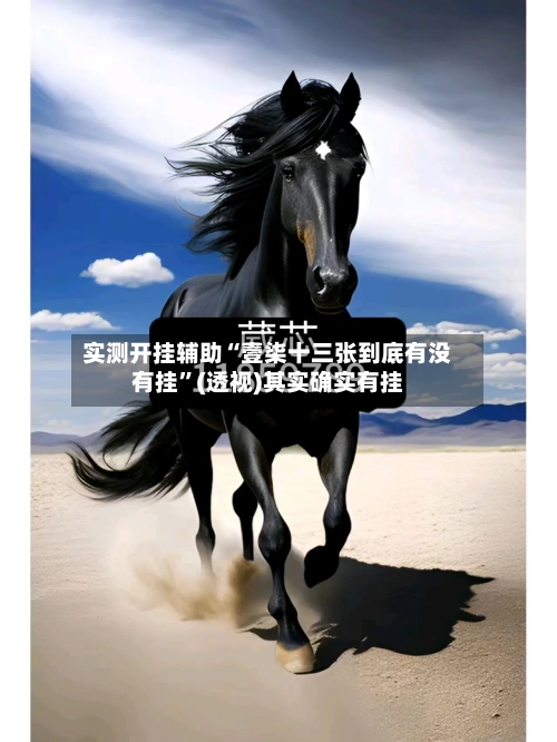 实测开挂辅助“壹柒十三张到底有没有挂	”(透视)其实确实有挂-第2张图片