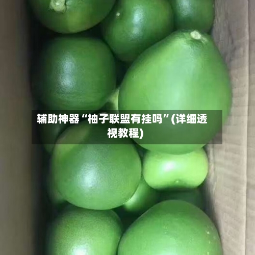 辅助神器“柚子联盟有挂吗”(详细透视教程)