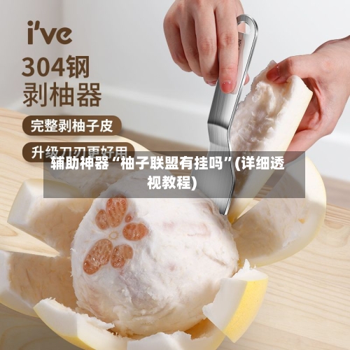 辅助神器“柚子联盟有挂吗	”(详细透视教程)-第2张图片