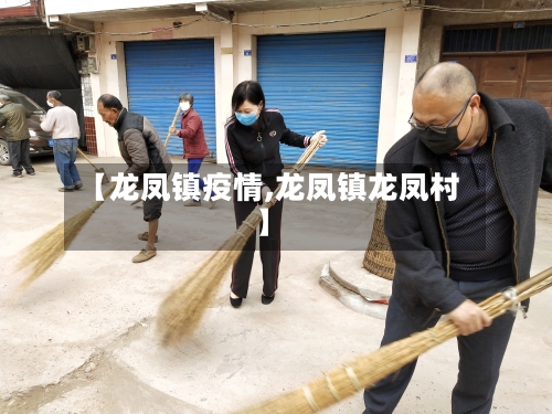 【龙凤镇疫情,龙凤镇龙凤村】-第2张图片