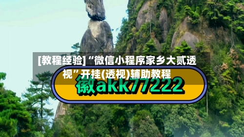 [教程经验]“微信小程序家乡大贰透视”开挂(透视)辅助教程-第1张图片