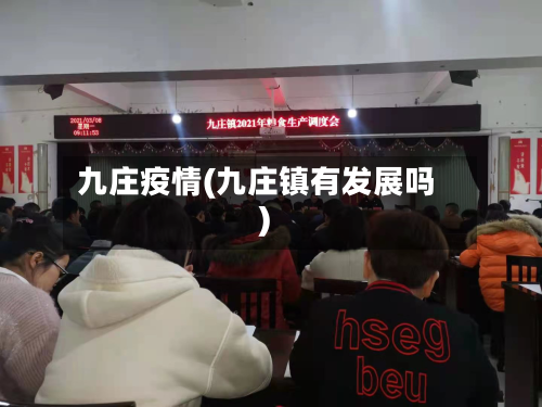 九庄疫情(九庄镇有发展吗)-第2张图片