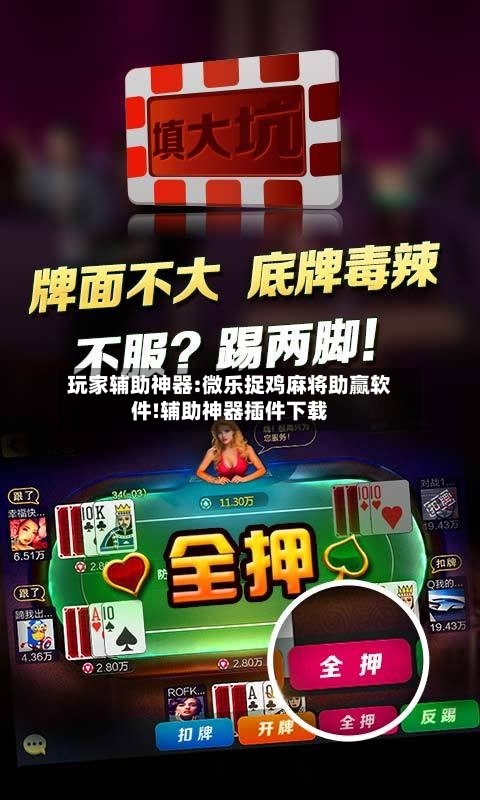 玩家辅助神器:微乐捉鸡麻将助赢软件!辅助神器插件下载-第2张图片