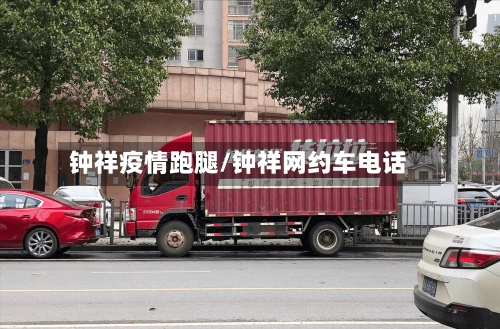 钟祥疫情跑腿/钟祥网约车电话-第2张图片