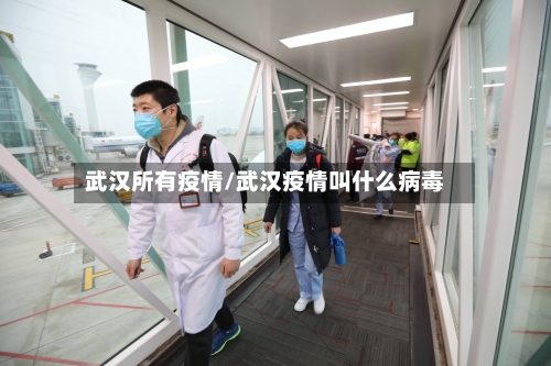 武汉所有疫情/武汉疫情叫什么病毒