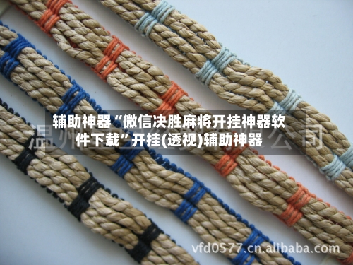 辅助神器“微信决胜麻将开挂神器软件下载”开挂(透视)辅助神器-第3张图片