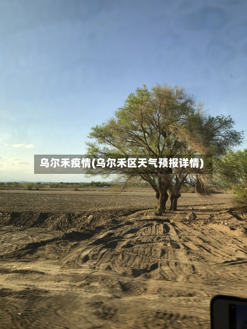 乌尔禾疫情(乌尔禾区天气预报详情)