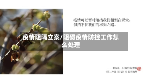 疫情阻隔立案/阻碍疫情防控工作怎么处理