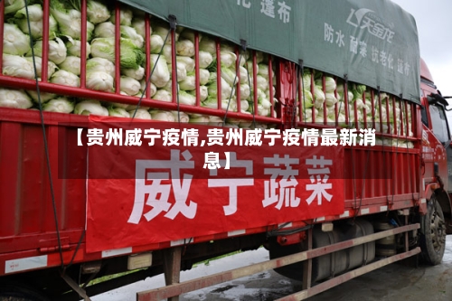 【贵州威宁疫情,贵州威宁疫情最新消息】-第2张图片