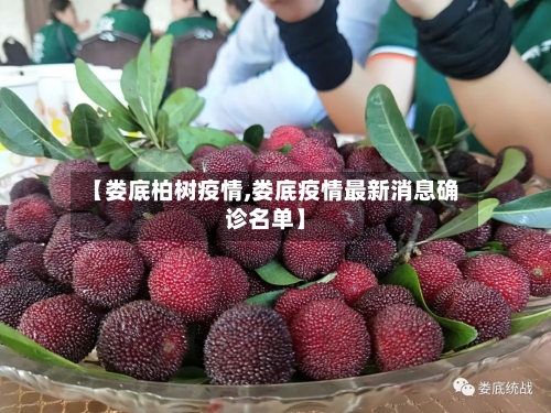 【娄底柏树疫情,娄底疫情最新消息确诊名单】