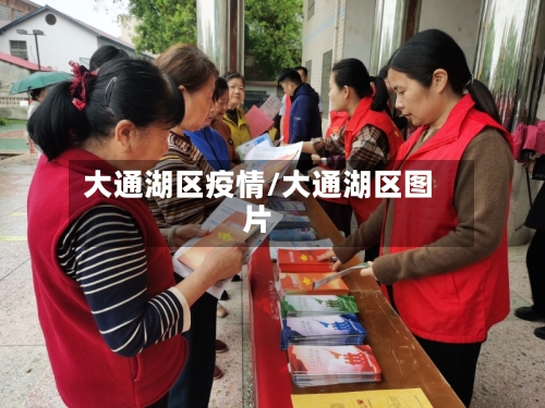 大通湖区疫情/大通湖区图片-第2张图片