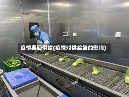 疫情期间供给(疫情对供给端的影响)-第2张图片