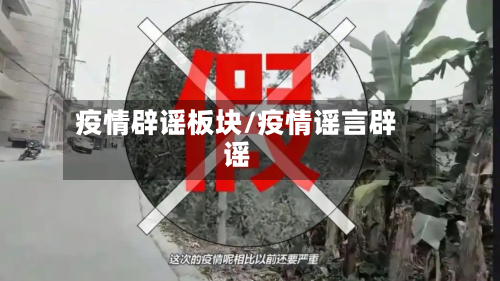 疫情辟谣板块/疫情谣言辟谣-第3张图片