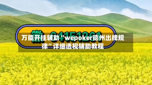 万能开挂辅助“wepoker德州出牌规律”详细透视辅助教程