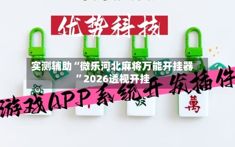 实测辅助“微乐河北麻将万能开挂器”2026透视开挂-第2张图片