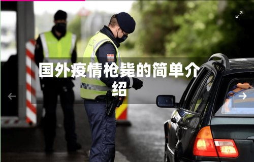 国外疫情枪毙的简单介绍