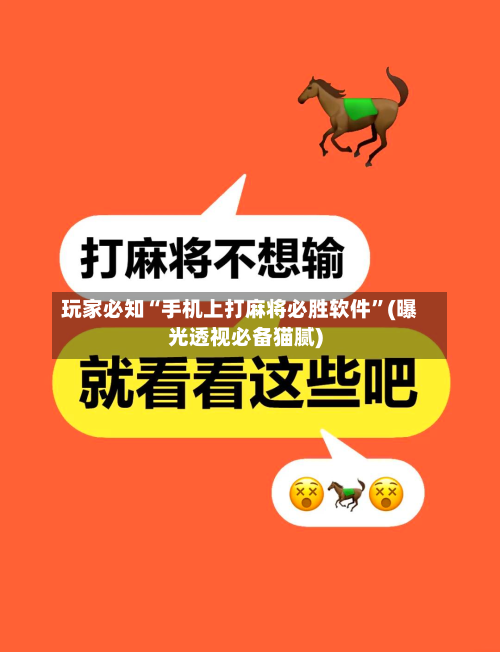 玩家必知“手机上打麻将必胜软件”(曝光透视必备猫腻)-第2张图片