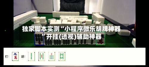 独家脚本实测“小程序微乐胡牌神器”开挂(透视)辅助神器