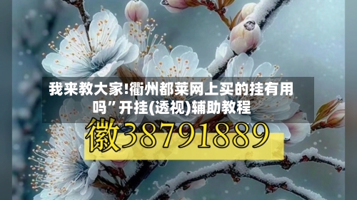 我来教大家!衢州都莱网上买的挂有用吗	”开挂(透视)辅助教程-第2张图片