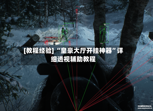 [教程经验] “皇豪大厅开挂神器”详细透视辅助教程