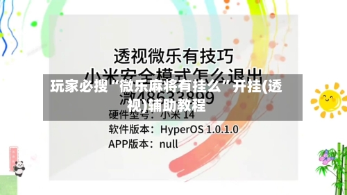 玩家必搜“微乐麻将有挂么”开挂(透视)辅助教程-第2张图片