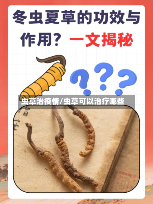 虫草治疫情/虫草可以治疗哪些-第3张图片