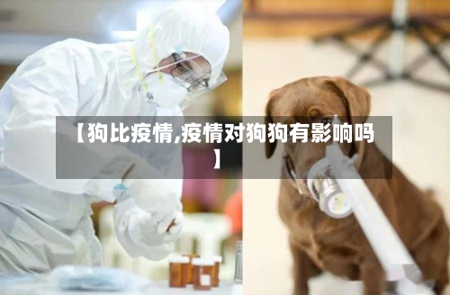 【狗比疫情,疫情对狗狗有影响吗】-第2张图片