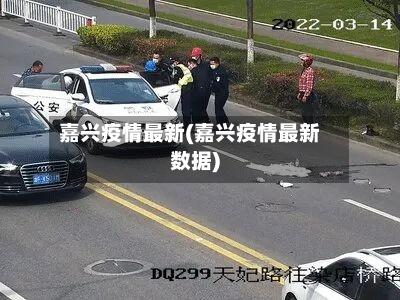 嘉兴疫情最新(嘉兴疫情最新数据)-第2张图片