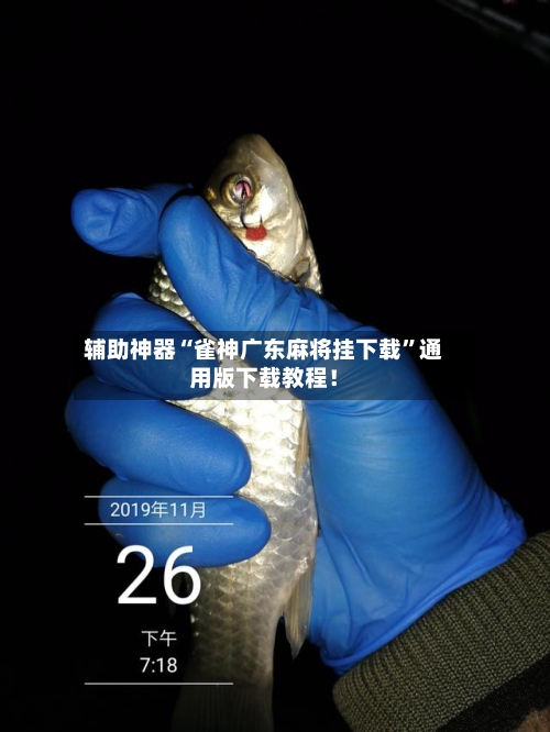 辅助神器“雀神广东麻将挂下载	”通用版下载教程！-第2张图片