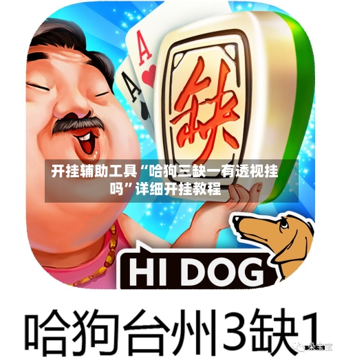 开挂辅助工具“哈狗三缺一有透视挂吗”详细开挂教程-第3张图片