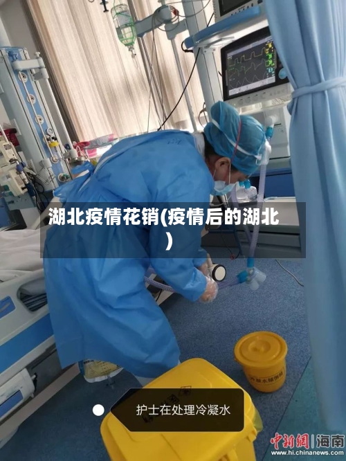 湖北疫情花销(疫情后的湖北)-第1张图片