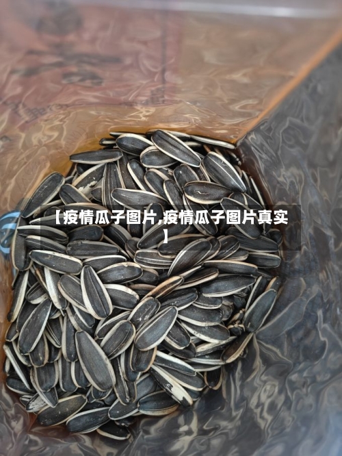 【疫情瓜子图片,疫情瓜子图片真实】-第1张图片