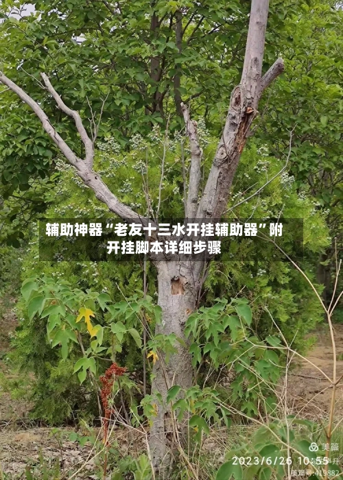 辅助神器“老友十三水开挂辅助器	”附开挂脚本详细步骤-第1张图片