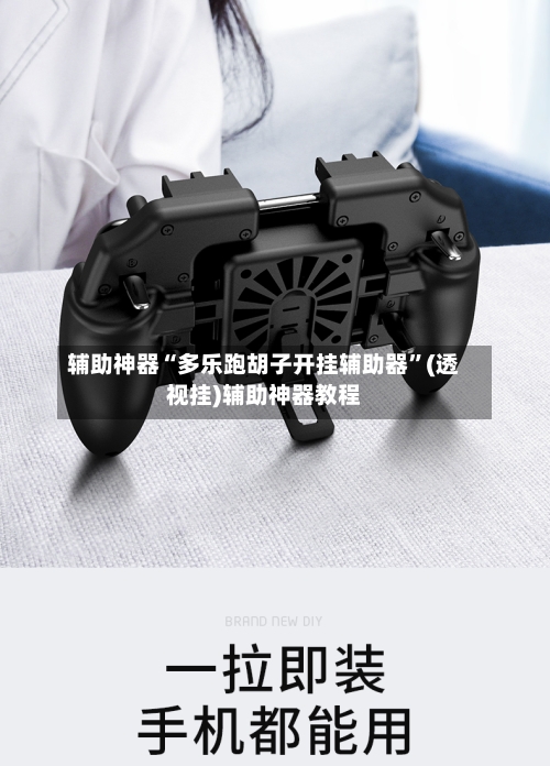 辅助神器“多乐跑胡子开挂辅助器”(透视挂)辅助神器教程-第1张图片