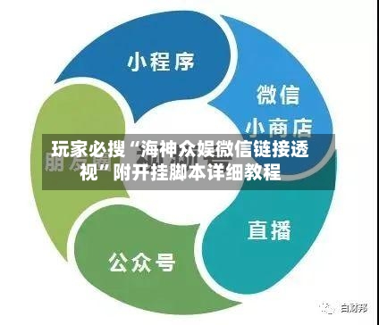 玩家必搜“海神众娱微信链接透视	”附开挂脚本详细教程-第1张图片