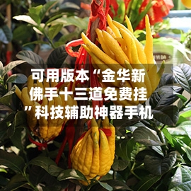 可用版本“金华新佛手十三道免费挂”科技辅助神器手机-第1张图片