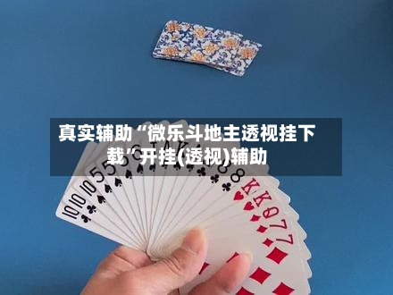 真实辅助“微乐斗地主透视挂下载	”开挂(透视)辅助-第1张图片