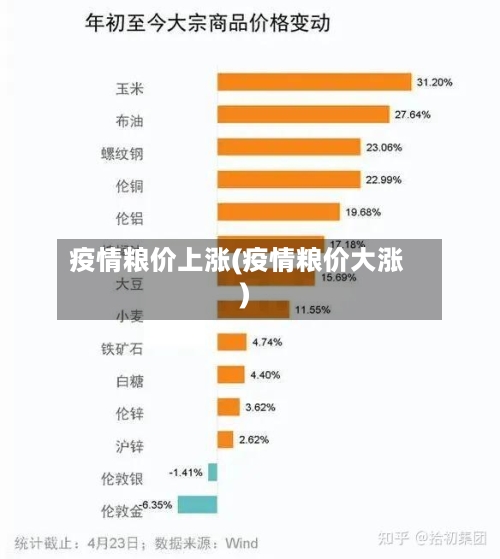 疫情粮价上涨(疫情粮价大涨)-第1张图片