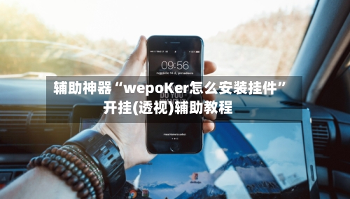 辅助神器“wepoKer怎么安装挂件”开挂(透视)辅助教程-第2张图片