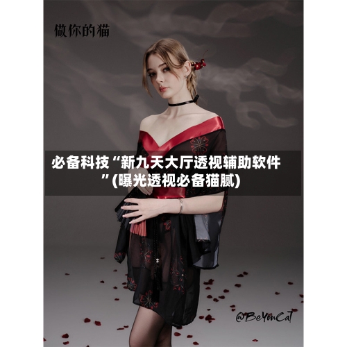 必备科技“新九天大厅透视辅助软件”(曝光透视必备猫腻)-第1张图片