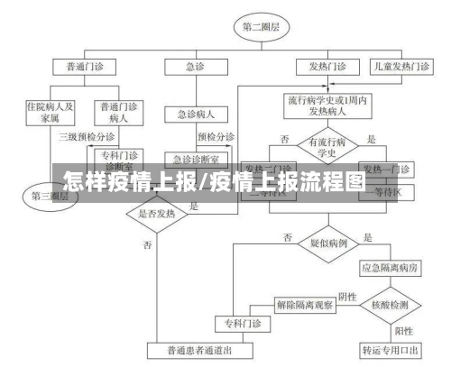 怎样疫情上报/疫情上报流程图-第1张图片