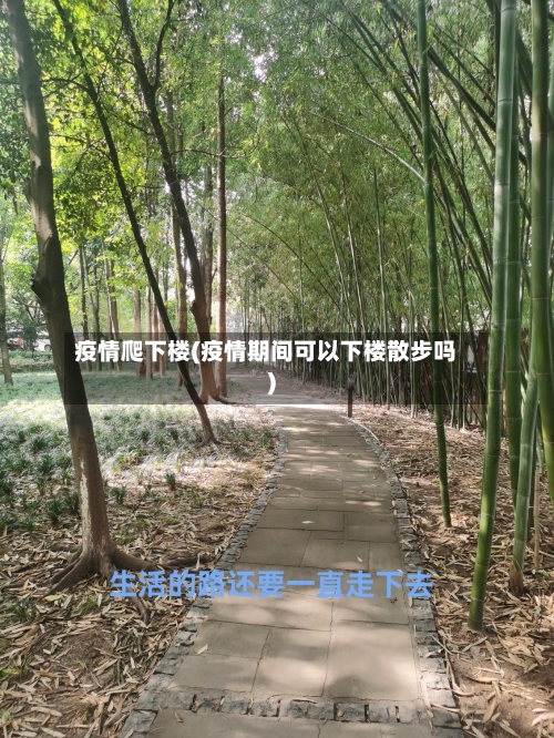 疫情爬下楼(疫情期间可以下楼散步吗)-第1张图片