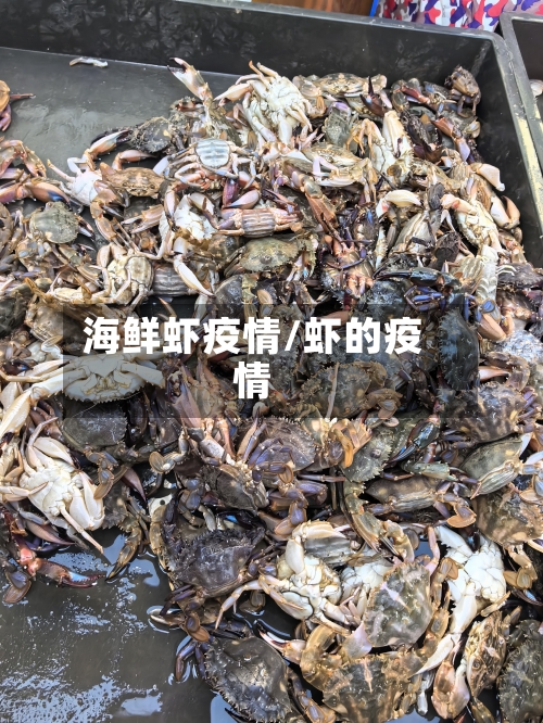 海鲜虾疫情/虾的疫情-第3张图片