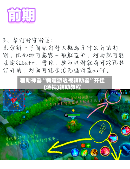 辅助神器“新道游透视辅助器”开挂(透视)辅助教程-第2张图片