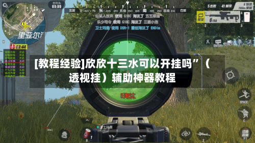[教程经验]欣欣十三水可以开挂吗”（透视挂）辅助神器教程-第1张图片