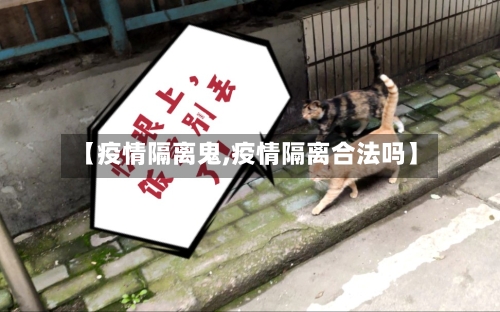【疫情隔离鬼,疫情隔离合法吗】-第1张图片