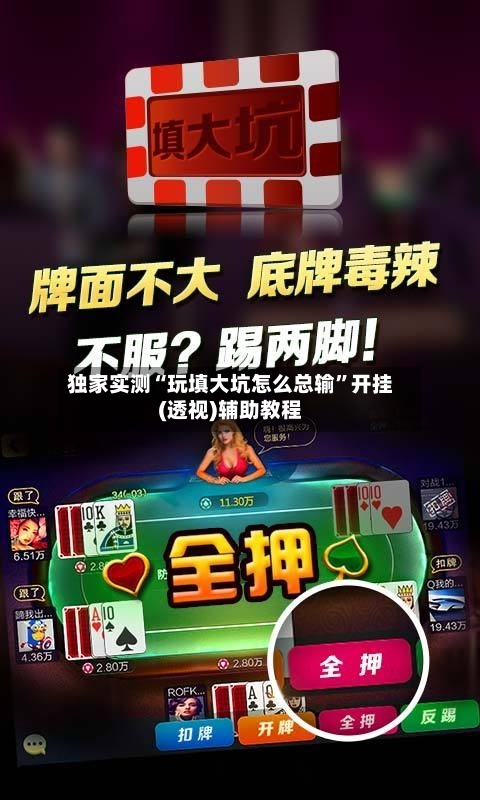 独家实测“玩填大坑怎么总输”开挂(透视)辅助教程-第1张图片
