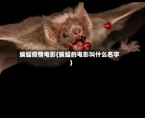 蝙蝠疫情电影(蝙蝠的电影叫什么名字)-第2张图片