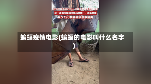 蝙蝠疫情电影(蝙蝠的电影叫什么名字)-第1张图片