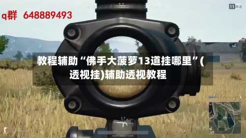 教程辅助“佛手大菠萝13道挂哪里	”(透视挂)辅助透视教程-第2张图片